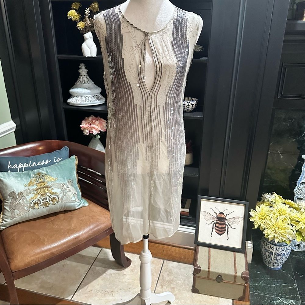 Beaded Sheer Sleeveless Dress in Taupe and Silver